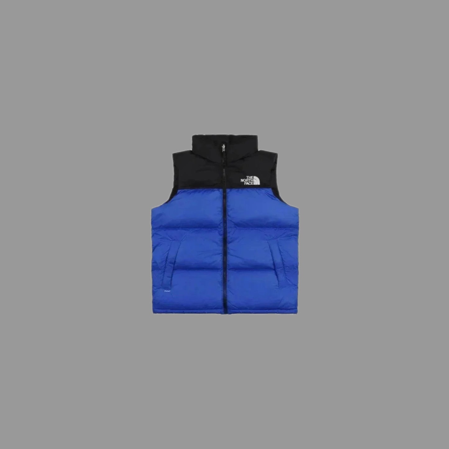 TNF Vest