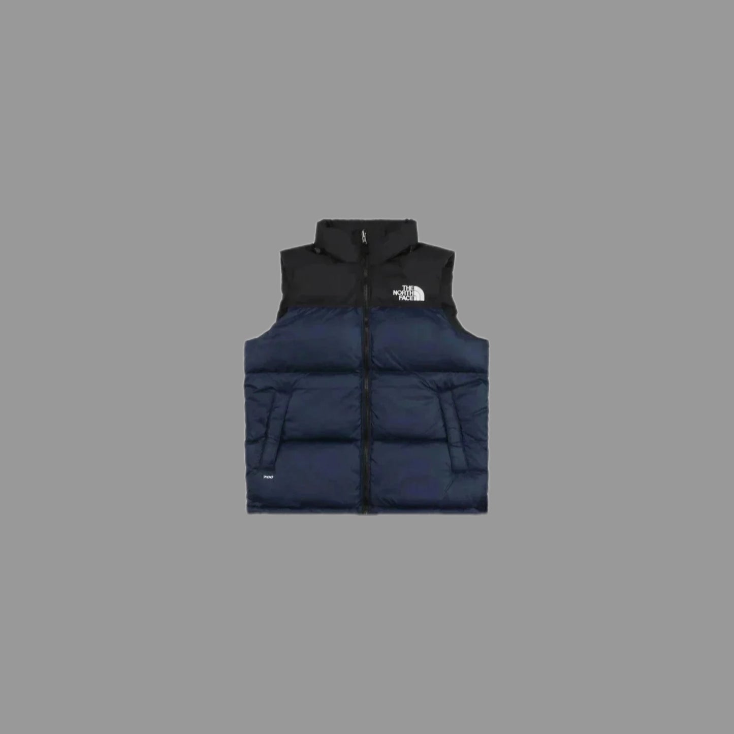TNF Vest